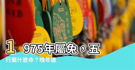 1975屬什麼|【1975年命五行屬性】75生肖兔是什麼命1975屬兔人一生運勢 